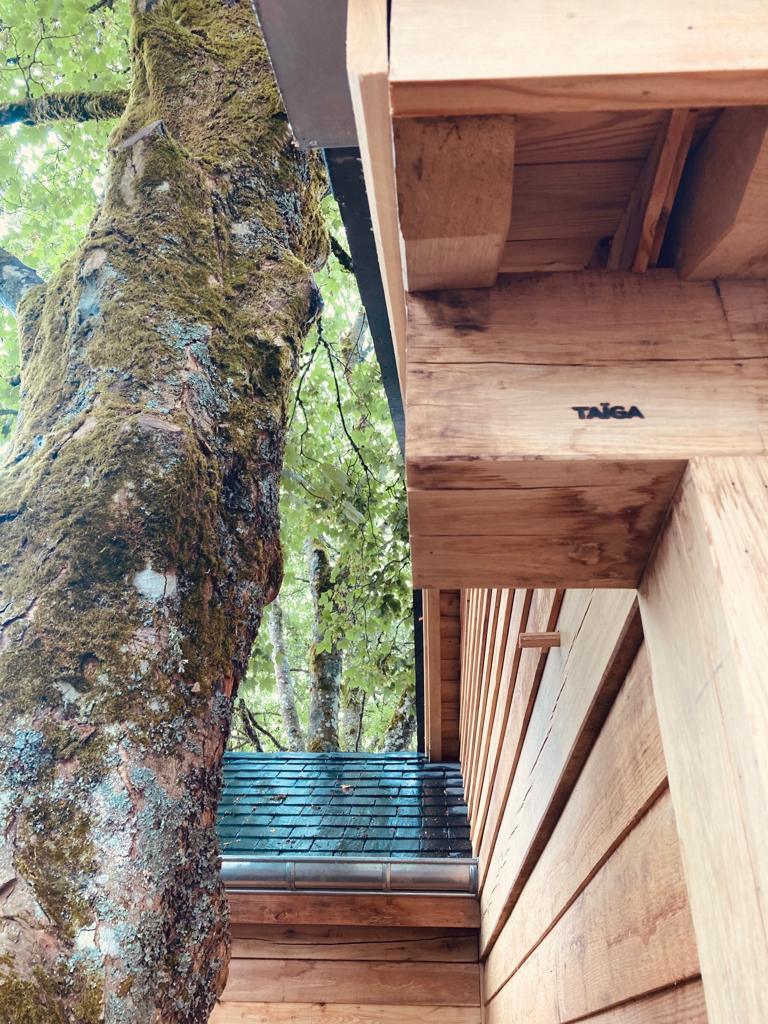 Annexe et carport en chêne — Fauvillers — étape 2