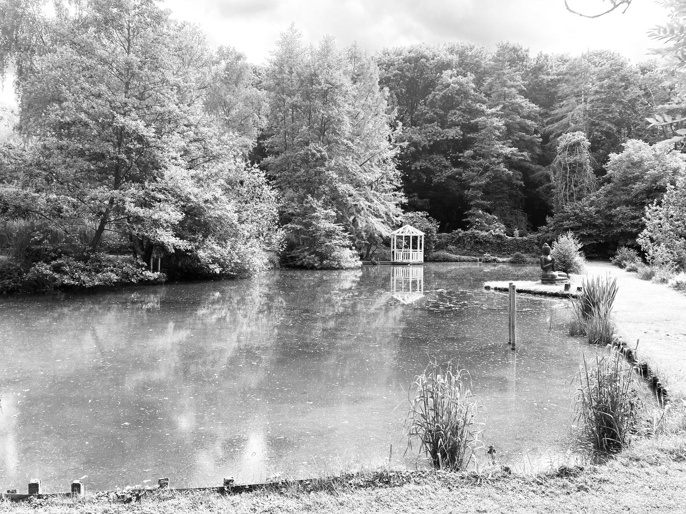 Kiosque et ponton sur l’étang d’Aquatic Design — Wavre — étape 2